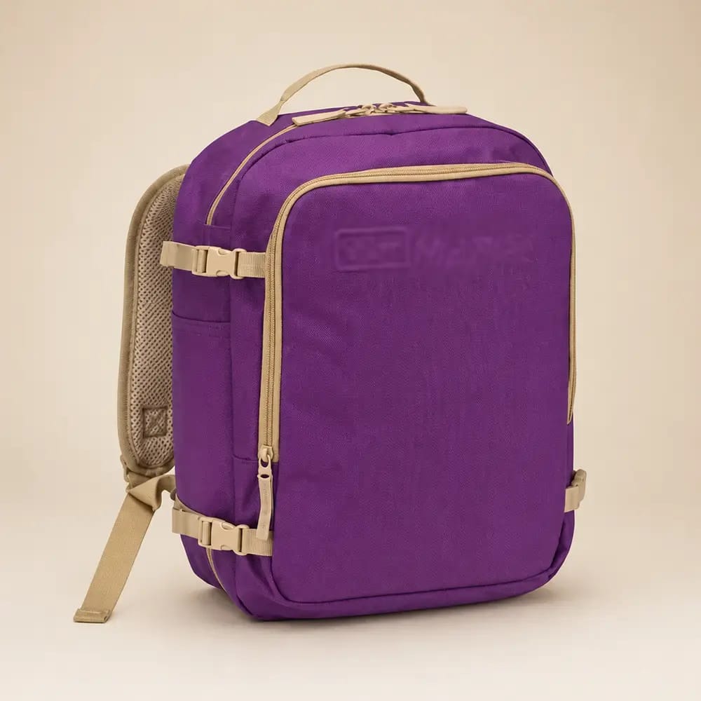 BAGAGLIO VIOLA