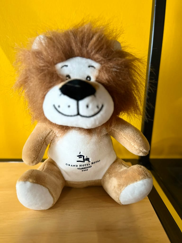 PERSONALIZZAZIONE DIRETTAMENTE SUL PELUCHE